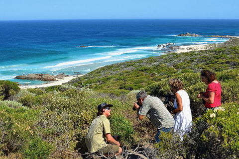 Margaret River Coastal And Wildlife Eco Trip From Busselton Or Dunsborough - Holiday Find 2