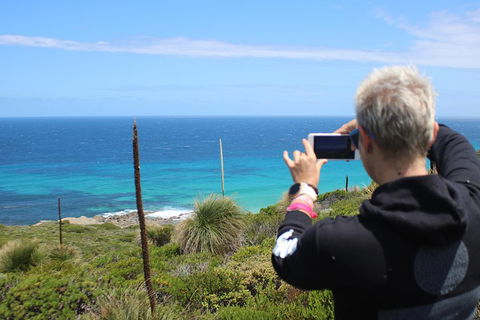 Margaret River Coastal And Wildlife Eco Trip From Busselton Or Dunsborough - Holiday Find 3