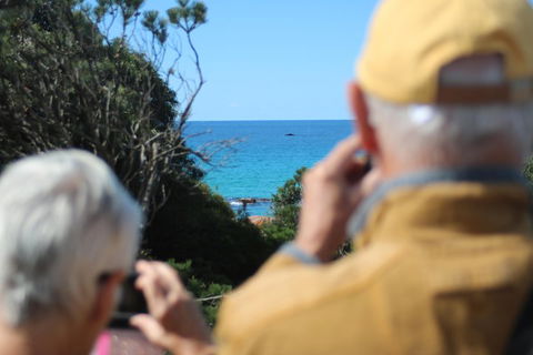 Margaret River Coastal And Wildlife Eco Trip From Busselton Or Dunsborough - Holiday Find 5